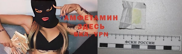 дурь Дмитровск